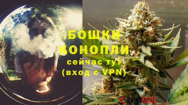 спайс Корсаков